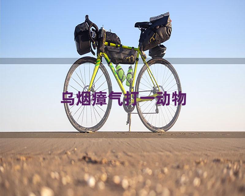 乌烟瘴气打一动物