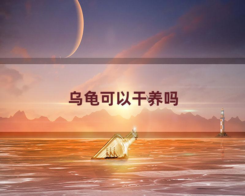 乌龟可以干养吗