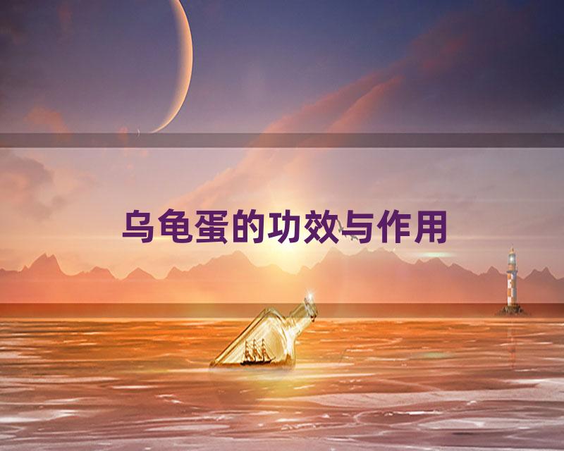 乌龟蛋的功效与作用