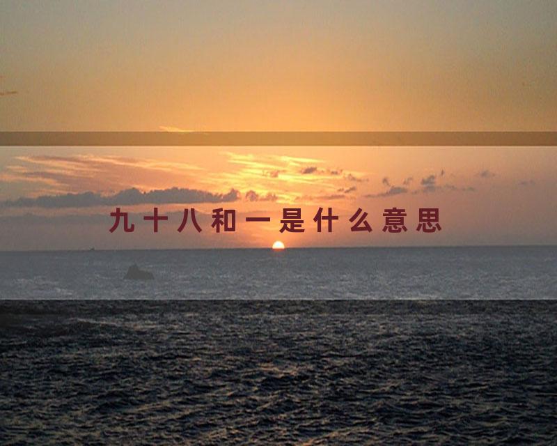 九十八和一是什么意思