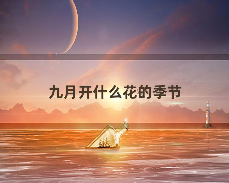 九月开什么花的季节