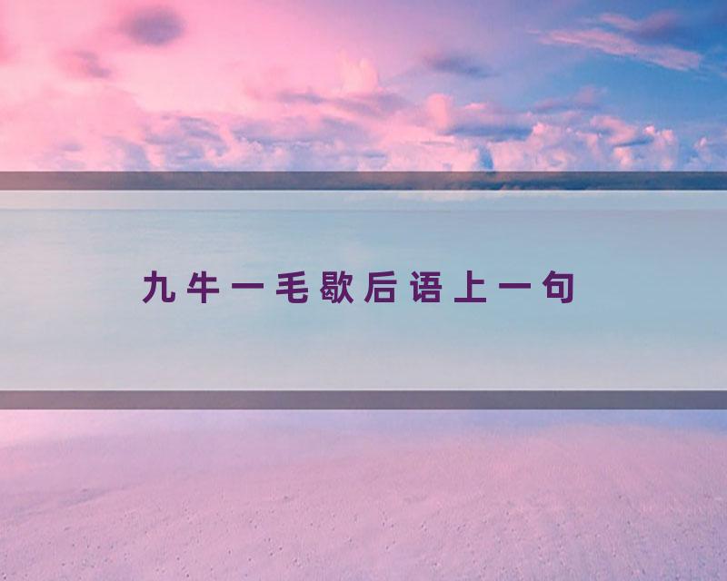 九牛一毛歇后语上一句