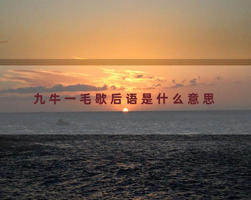 九牛一毛歇后语是什么意思