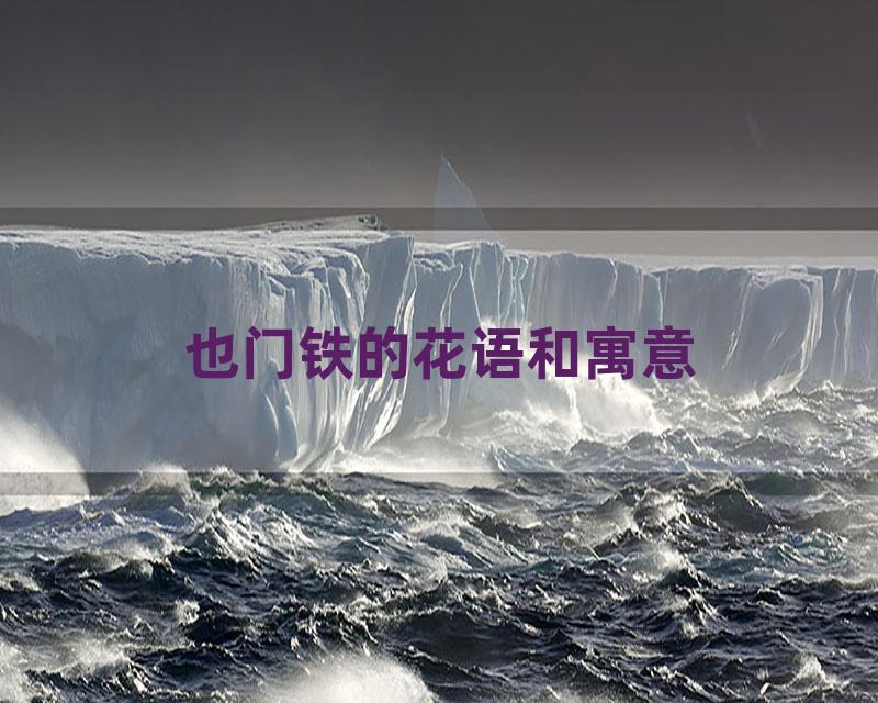 也门铁的花语和寓意
