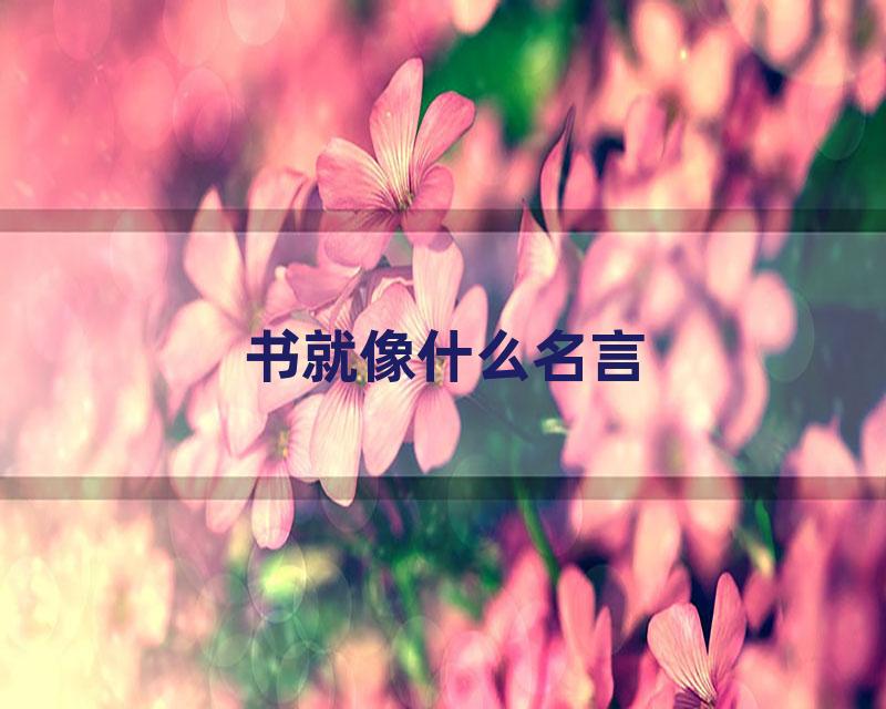 书就像什么名言