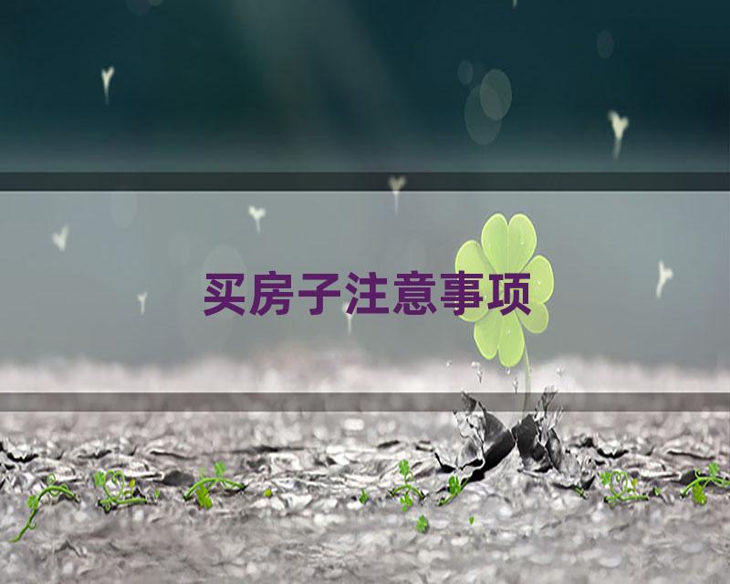 买房子注意事项