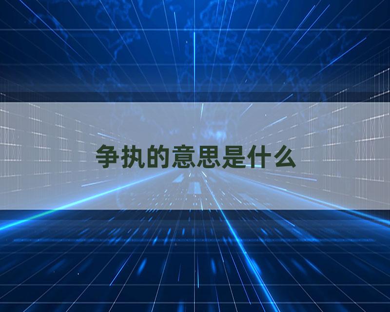 争执的意思是什么