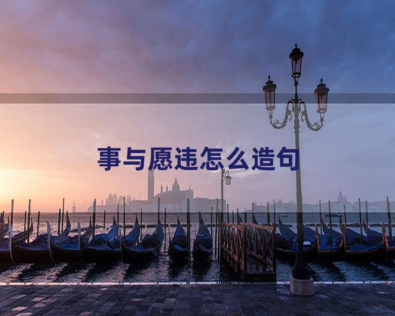 事与愿违怎么造句