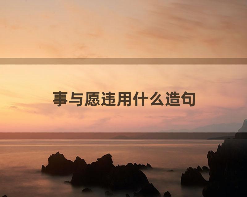 事与愿违用什么造句