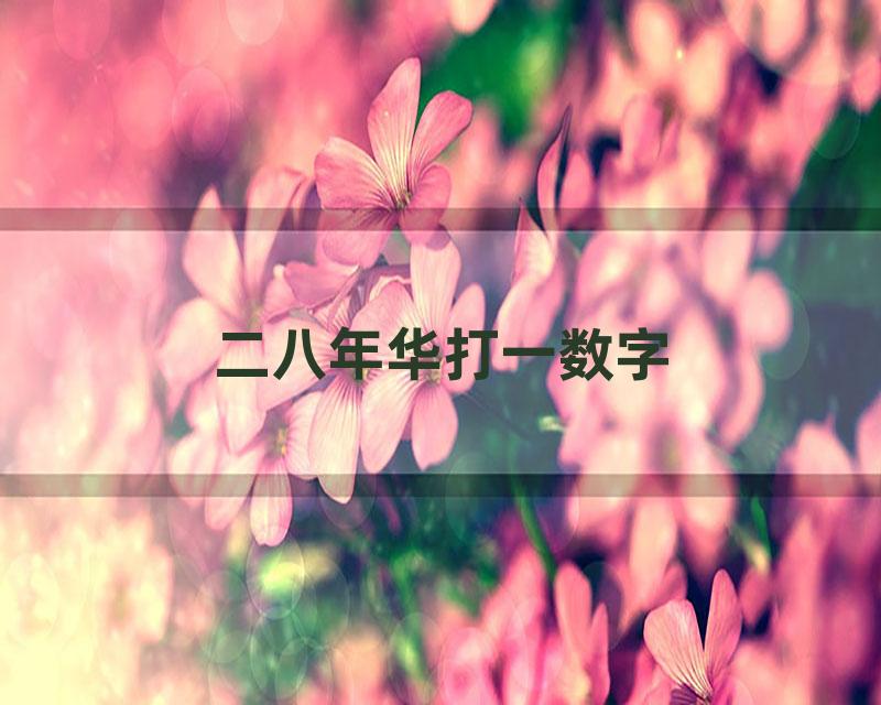 二八年华打一数字