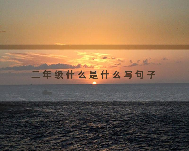 二年级什么是什么写句子
