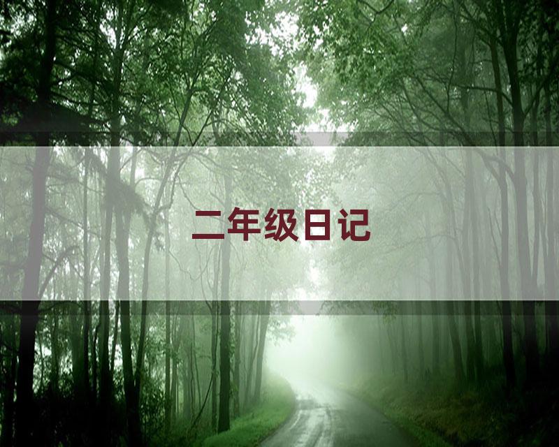 二年级日记