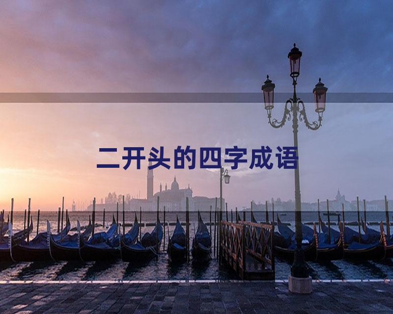 二开头的四字成语