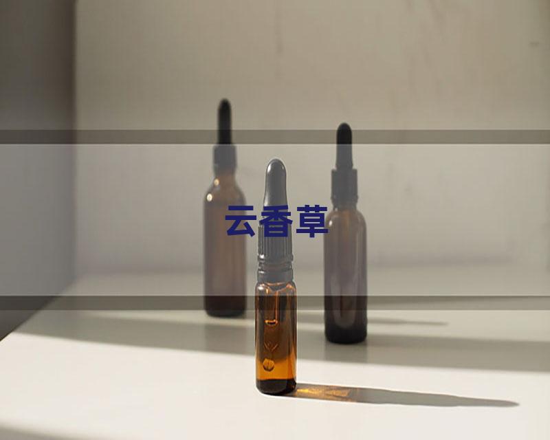 云香草