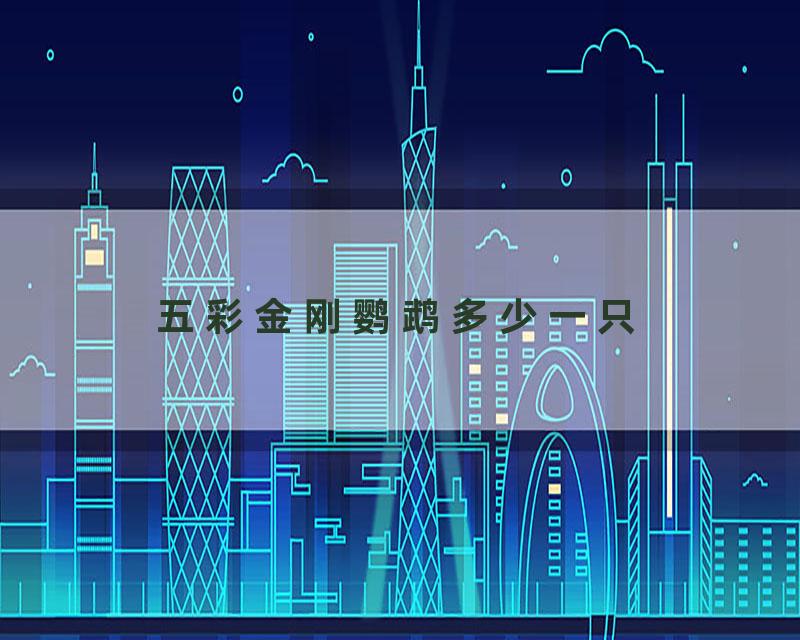 五彩金刚鹦鹉多少一只