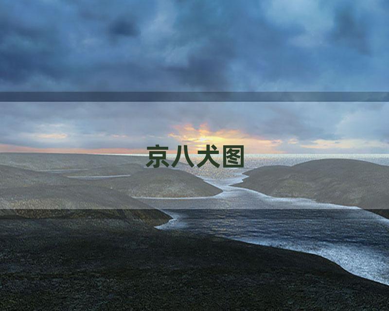 京八犬图
