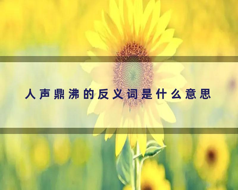 人声鼎沸的反义词是什么意思