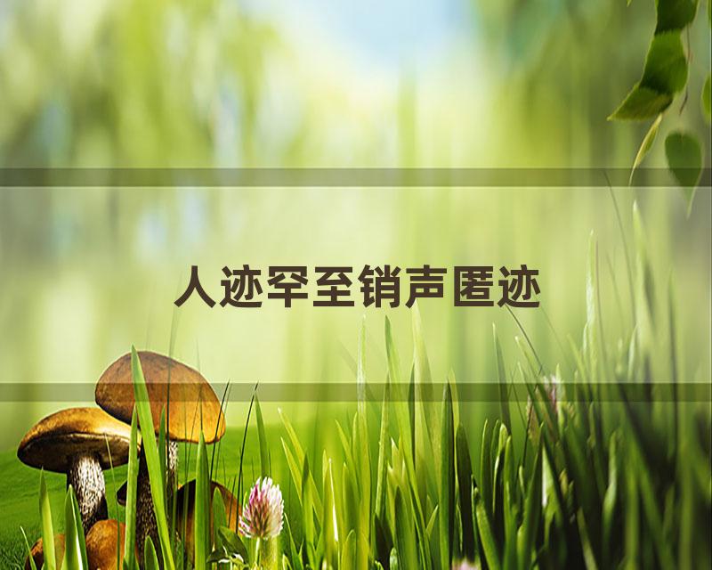 人迹罕至销声匿迹