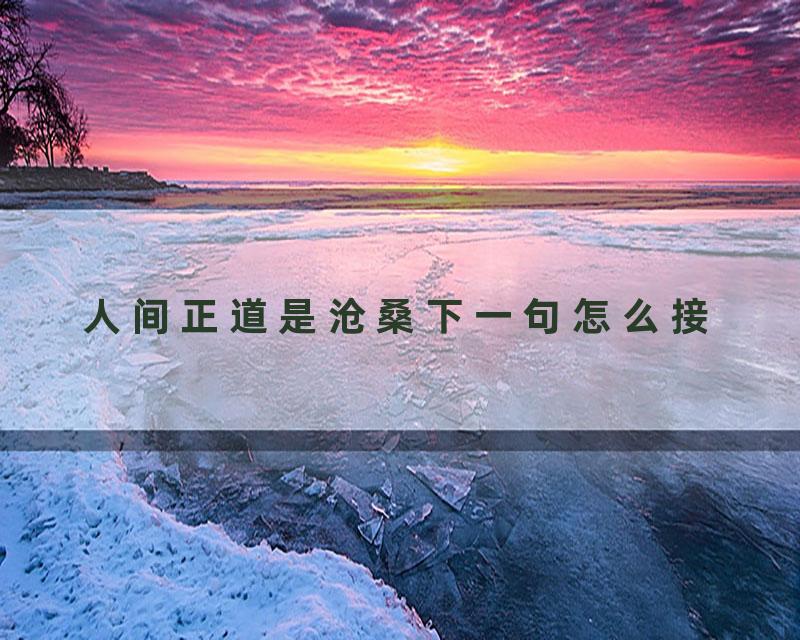 人间正道是沧桑下一句怎么接
