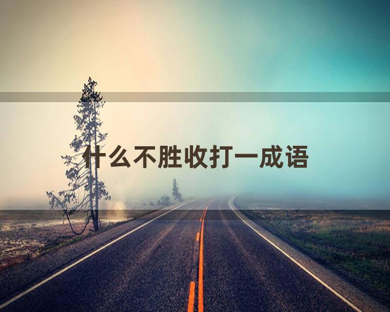 什么不胜收打一成语