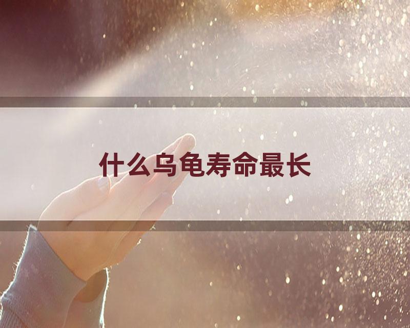 什么乌龟寿命最长