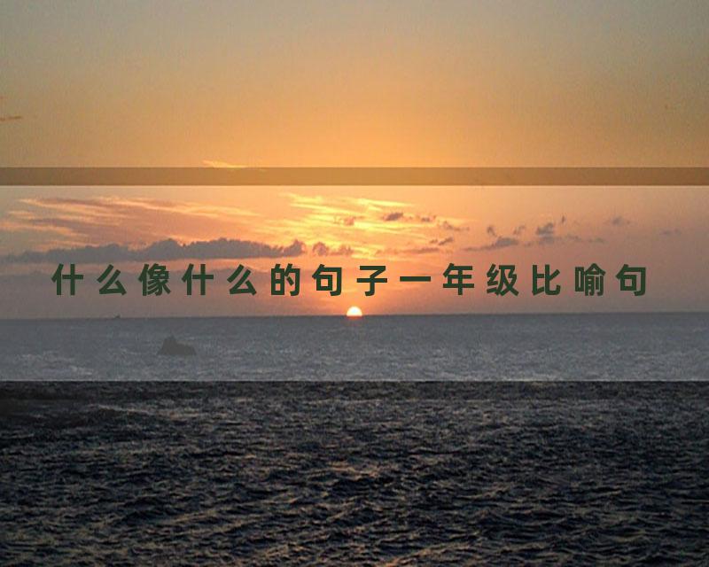 什么像什么的句子一年级比喻句
