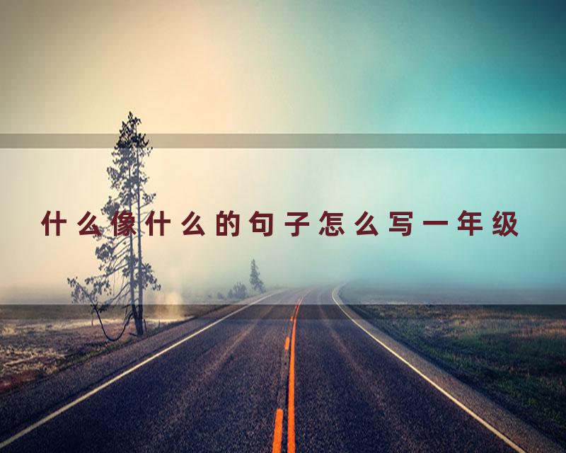 什么像什么的句子怎么写一年级