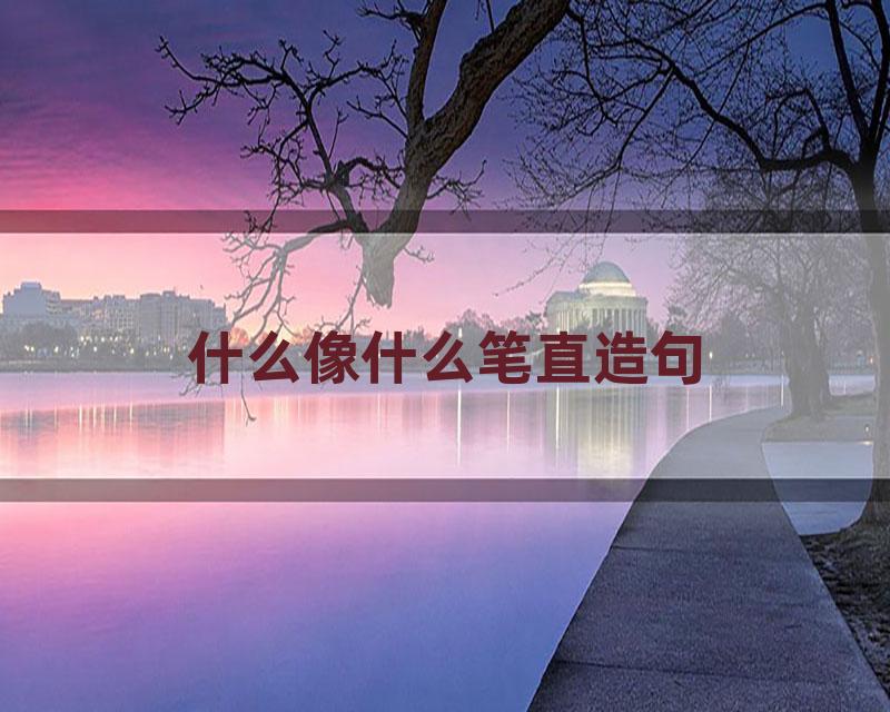 什么像什么笔直造句
