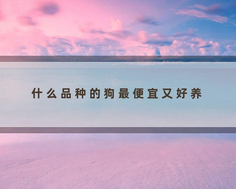 什么品种的狗最便宜又好养