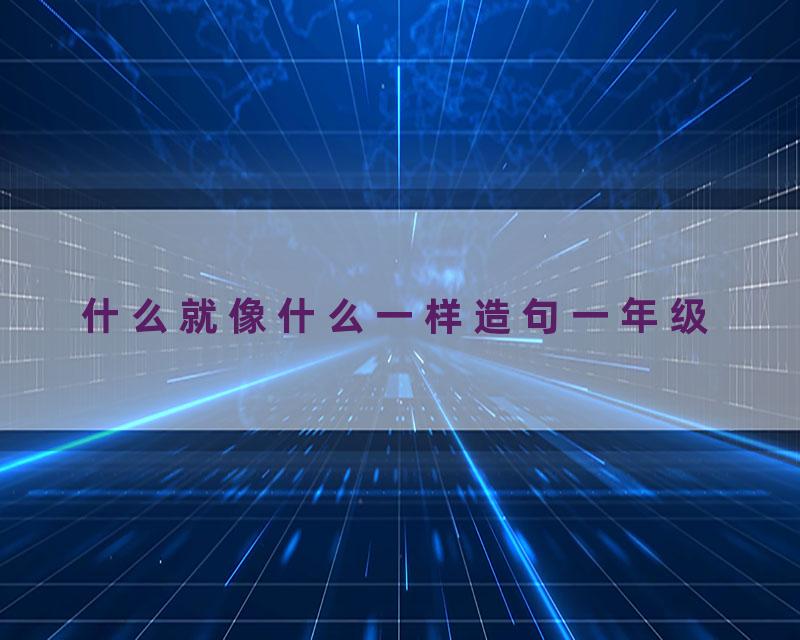 什么就像什么一样造句一年级