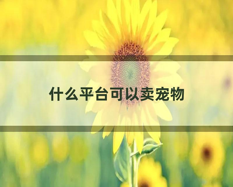 什么平台可以卖宠物