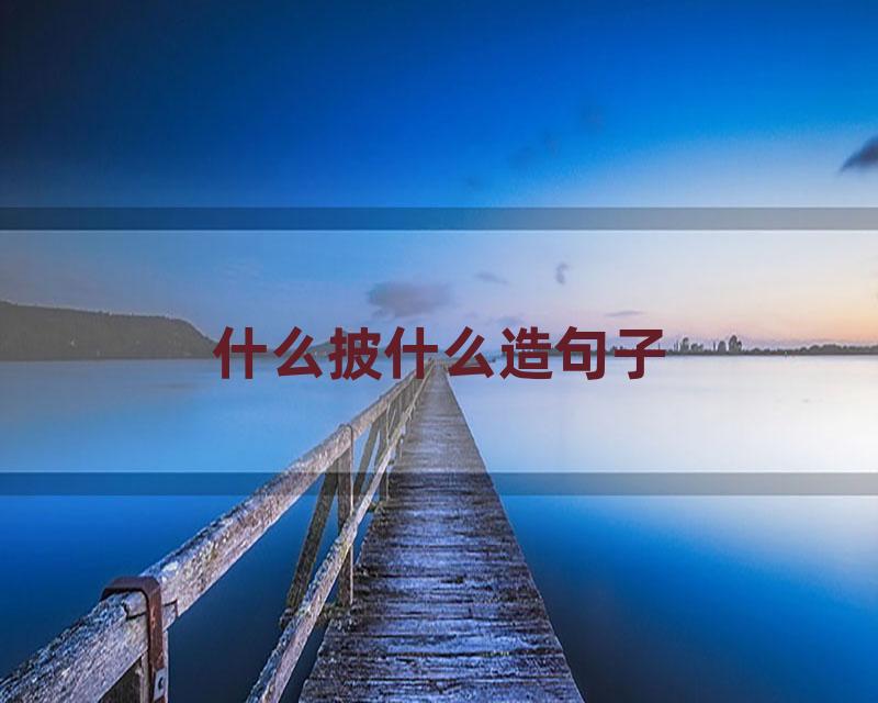 什么披什么造句子