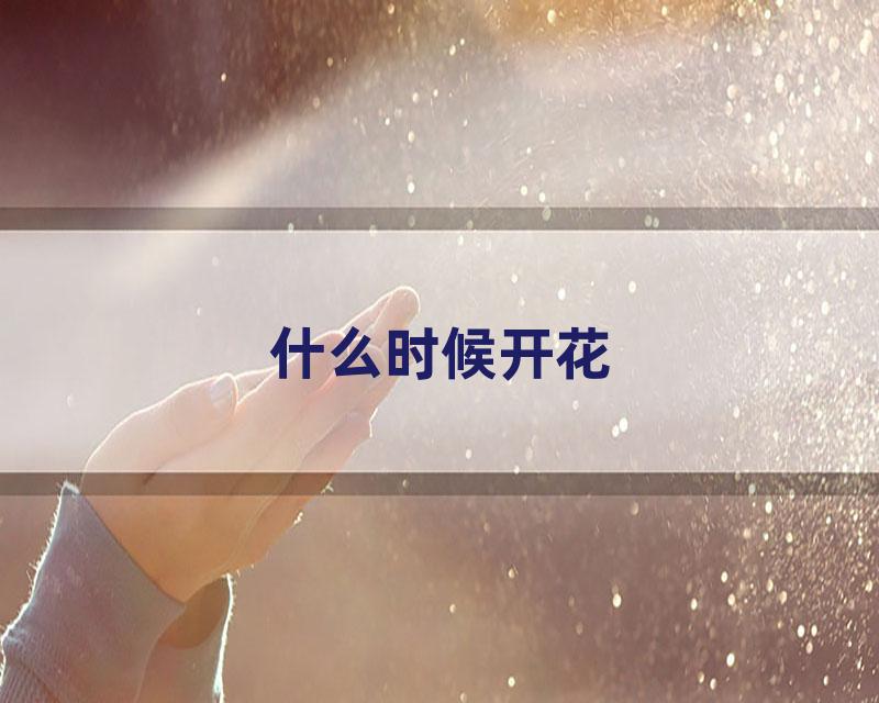 什么时候开花