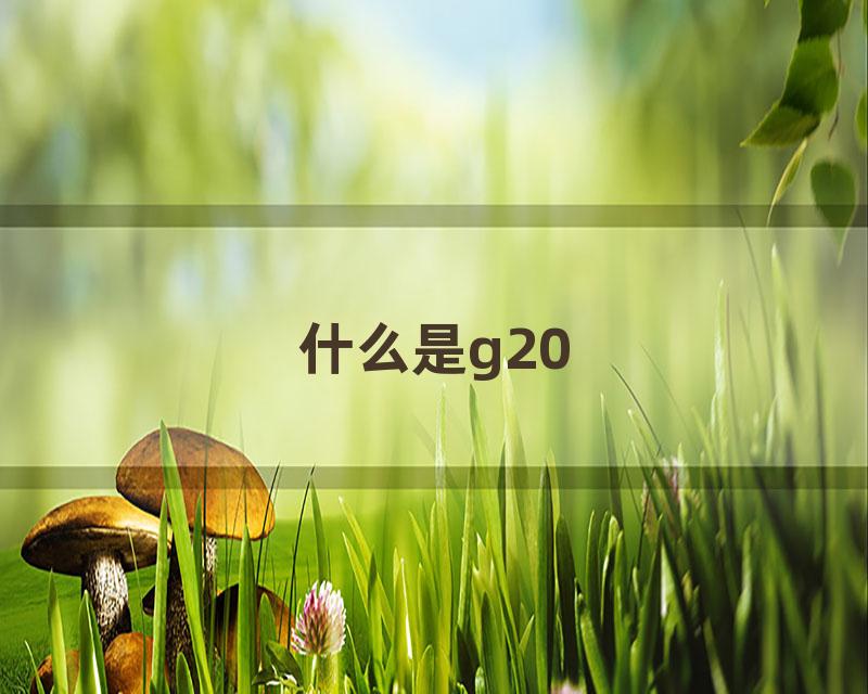 什么是g20