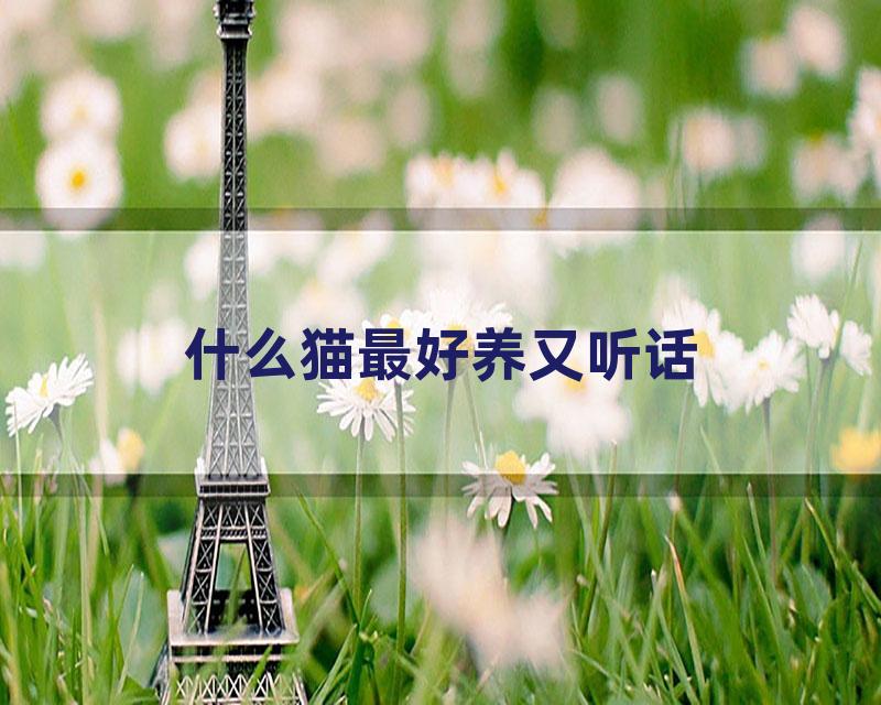 什么猫最好养又听话