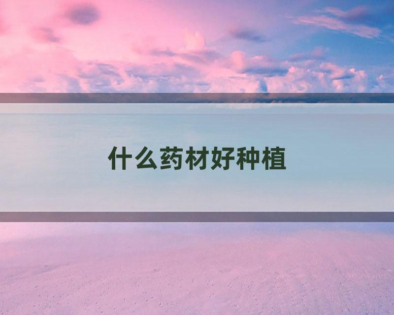 什么药材好种植
