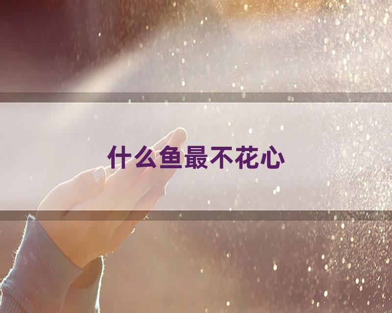 什么鱼最不花心