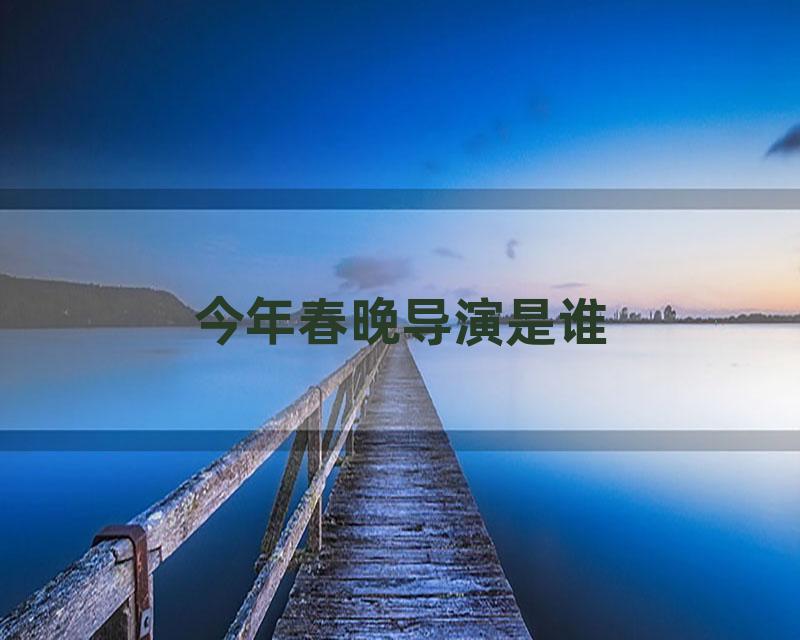 今年春晚导演是谁