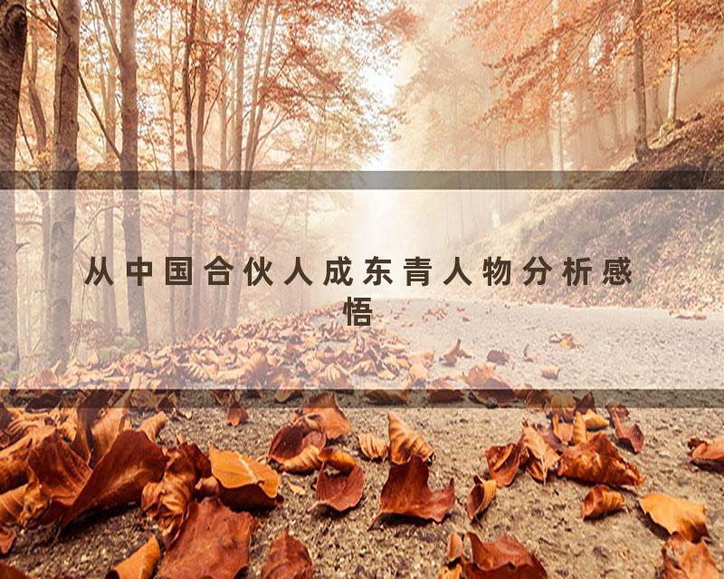 从中国合伙人成东青人物分析感悟