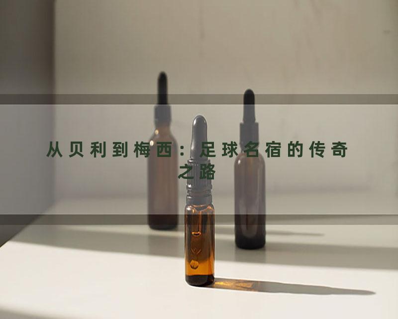 从贝利到梅西：足球名宿的传奇之路