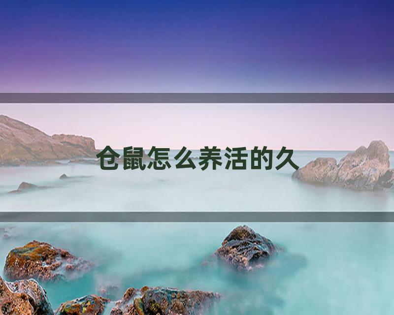 仓鼠怎么养活的久