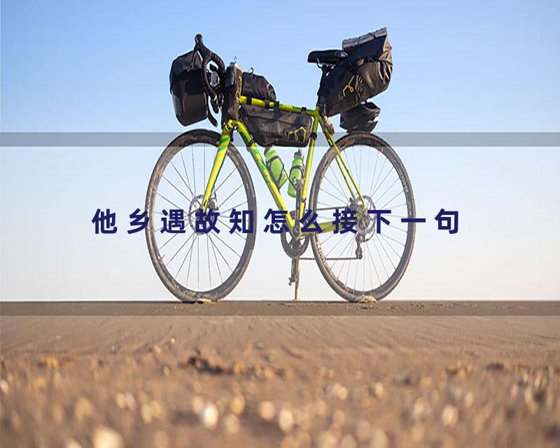 他乡遇故知怎么接下一句