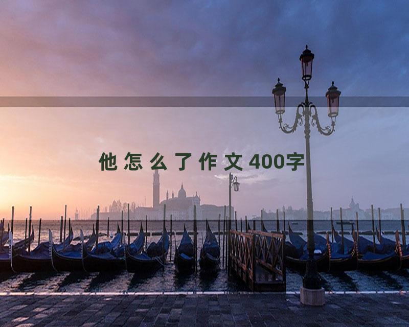 他怎么了作文400字