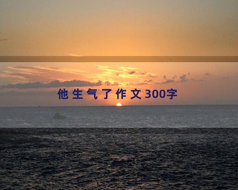 他生气了作文300字