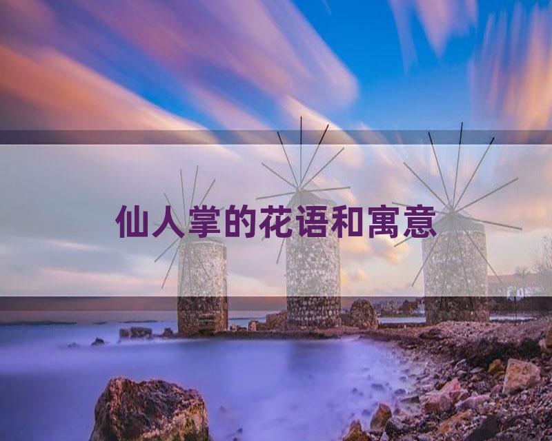仙人掌的花语和寓意