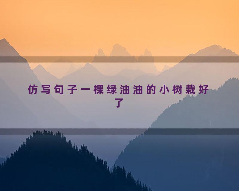 仿写句子一棵绿油油的小树栽好了