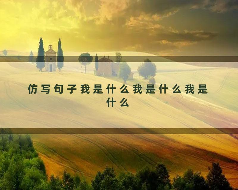 仿写句子我是什么我是什么我是什么