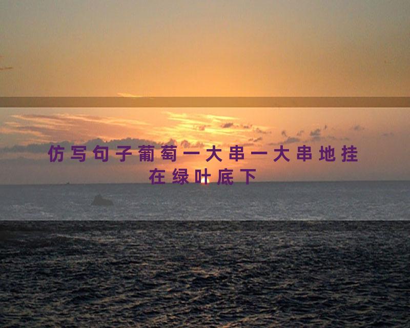 仿写句子葡萄一大串一大串地挂在绿叶底下