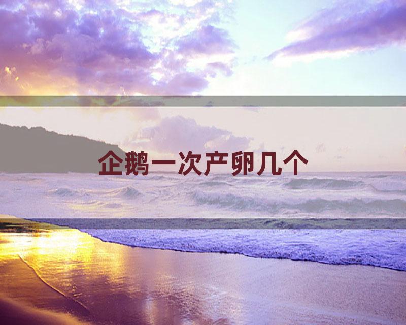 企鹅一次产卵几个