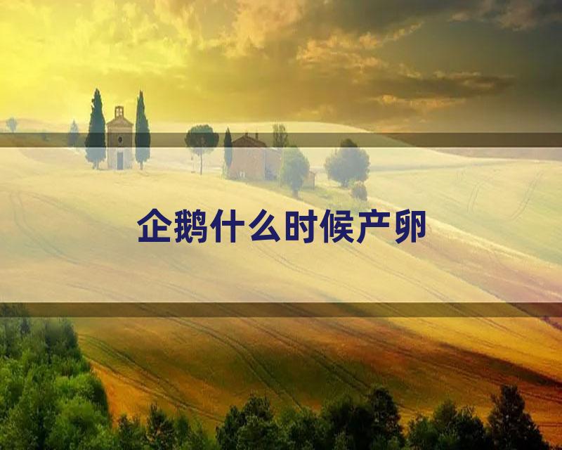 企鹅什么时候产卵